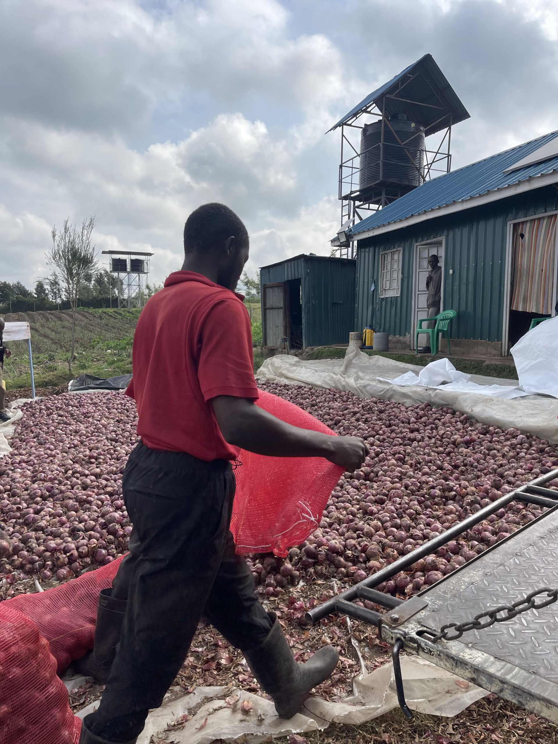 2025 Naivasha Yields